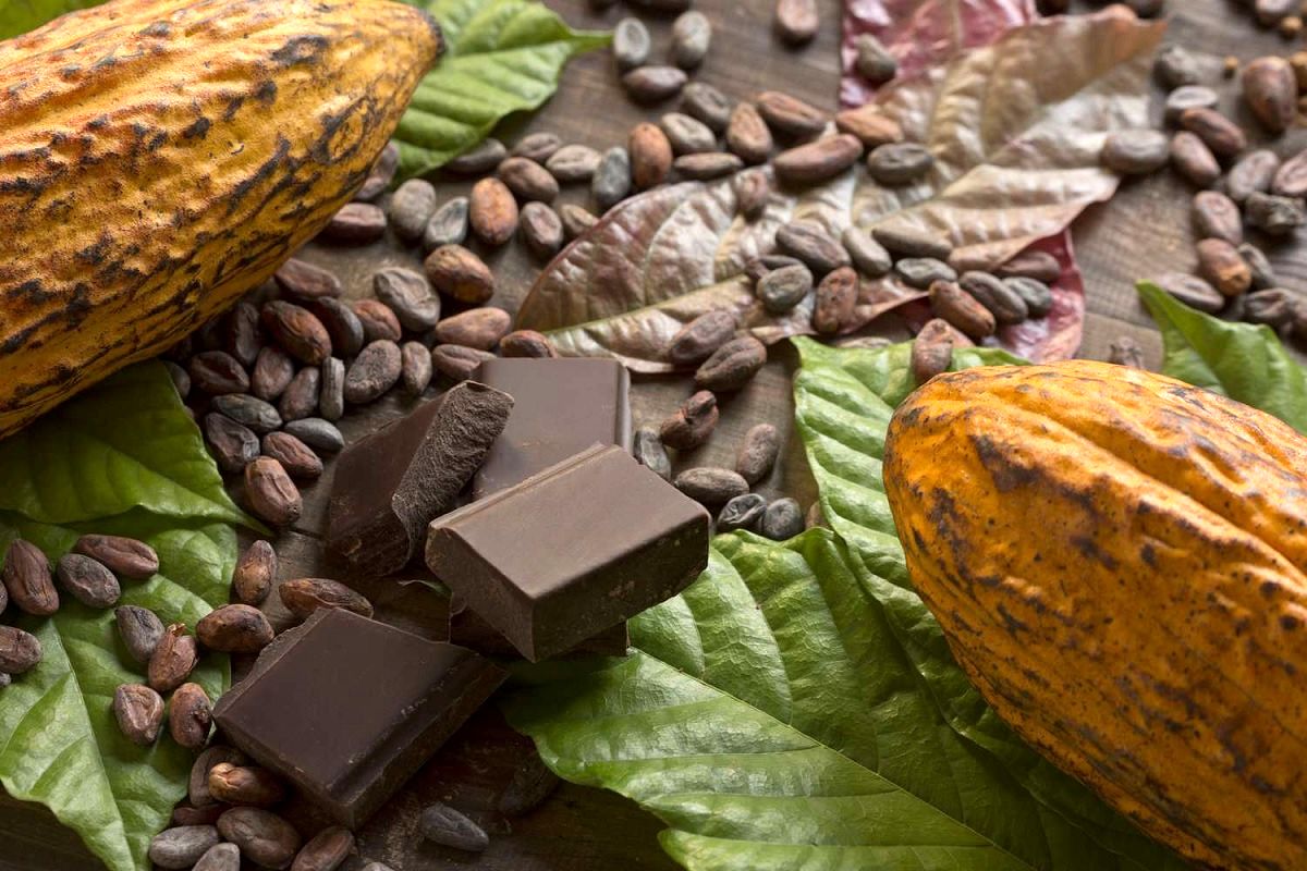 تاریخچۀ پرماجرای «شکلات»؛ از تمدن آزتک تا کارخانه‌های سوئیس