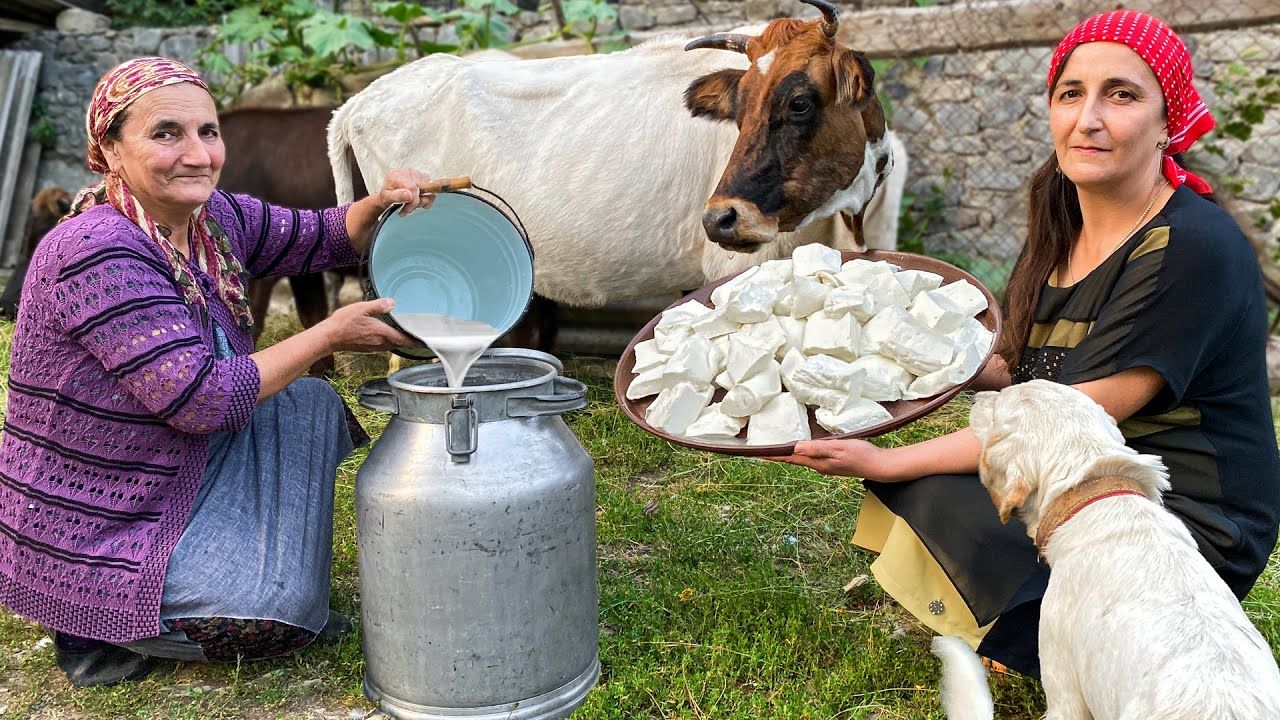 (ویدئو) درست کردن پنیر با 30 کیلو شیر گاو به سبک خانواده روستایی اهل کشور آذربایجان