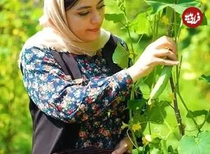 ببینید| غذای روستایی در ایران؛ تهیه آب دوغ خیار با سبزیجات تازه