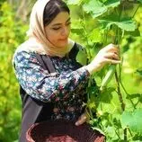 ببینید| غذای روستایی در ایران؛ تهیه آب دوغ خیار با سبزیجات تازه