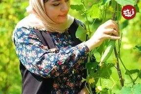 ببینید| غذای روستایی در ایران؛ تهیه آب دوغ خیار با سبزیجات تازه