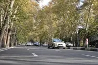 عکس| سفر به تهران قدیم؛ «خیابان ولیعصر، وقتی اطراف اش تپه و خاکی بود»؛ سال 1329