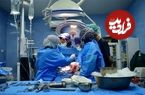 چیدن گردو در دماوند قربانی گرفت