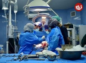 چیدن گردو در دماوند قربانی گرفت