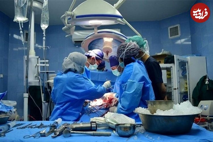 چیدن گردو در دماوند قربانی گرفت