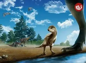 دایناسور تازه کشف شده آن‌قدر بامزه است که نام شخصیتی کارتونی را روی آن گذاشته‌اند