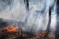 جنگل‌های گیلان ۴۸ ساعت در آتش سوخت