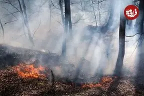 جنگل‌های گیلان ۴۸ ساعت در آتش سوخت