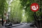 عکس| سفر زمان؛ منظرۀ زیبای «خیابان ولیعصر» در حدود 80 سال قبل