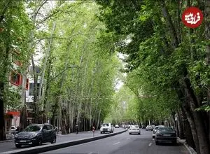 عکس| سفر زمان؛ منظرۀ زیبای «خیابان ولیعصر» در حدود 80 سال قبل