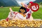 ببینید؛ غذای روستایی در آذربایجان؛ کباب بره شکم پر در طبیعت