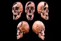 محققان راز وحشتناک یک اسکلت 750 ساله را فاش کردند