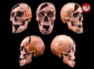 محققان راز وحشتناک یک اسکلت 750 ساله را فاش کردند