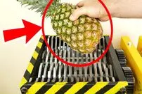ببینید؛ لحظه خرد شدن آناناس، نارگیل، سیب، کیوی و چند میوه دیگر در دستگاه خرد کن