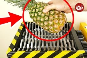 ببینید؛ لحظه خرد شدن آناناس، نارگیل، سیب، کیوی و چند میوه دیگر در دستگاه خرد کن
