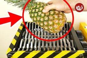 ببینید؛ لحظه خرد شدن آناناس، نارگیل، سیب، کیوی و چند میوه دیگر در دستگاه خرد کن