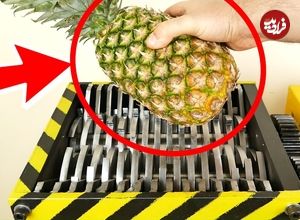 ببینید؛ لحظه خرد شدن آناناس، نارگیل، سیب، کیوی و چند میوه دیگر در دستگاه خرد کن