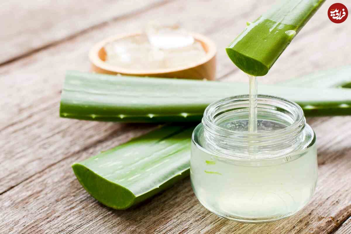 چطور آلوئهورا را در یخچال مثل روز اول تازه نگه داریم؟