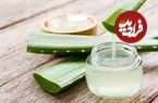 چطور آلوئه‌ورا را در یخچال مثل روز اول تازه نگه داریم؟