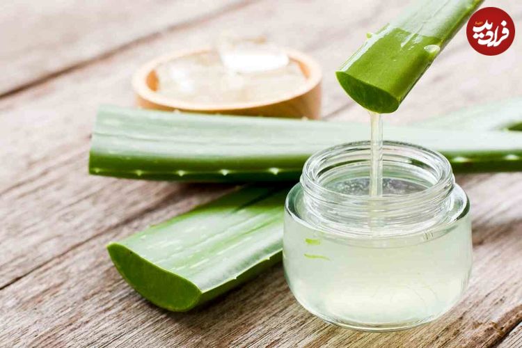 چطور آلوئه‌ورا را در یخچال مثل روز اول تازه نگه داریم؟