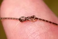 عکس| دستاورد اعجاب‌انگیز دانشمندان چین: تولید تراشه‌ کامپیوتری باریک‌تر از موی انسان