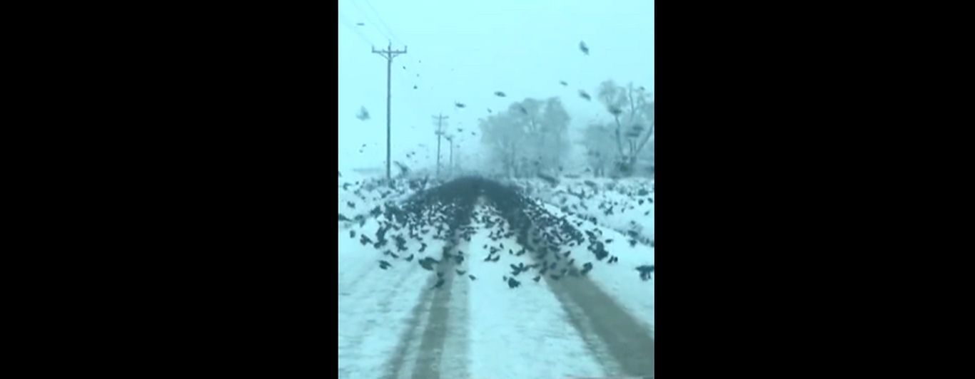 (ویدئو) تصاویری هولناک از یک جاده برفی سیاه
