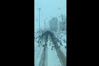 (ویدئو) تصاویری هولناک از یک جاده برفی سیاه