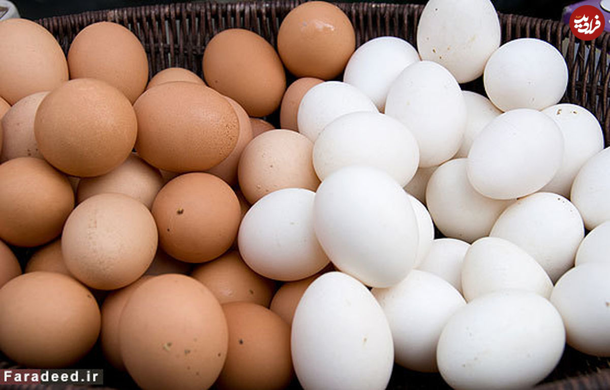 نحوه شناسایی تخم مرغ‌های سالم