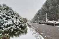یخبندان بی‌سابقه طی ۲۵ سال گذشته در مشهد