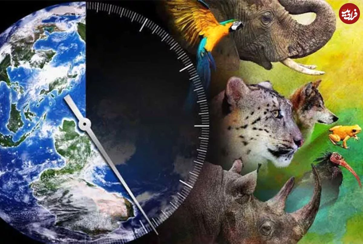 ۷ گونه جانوریِ در حال انقراض در جهان