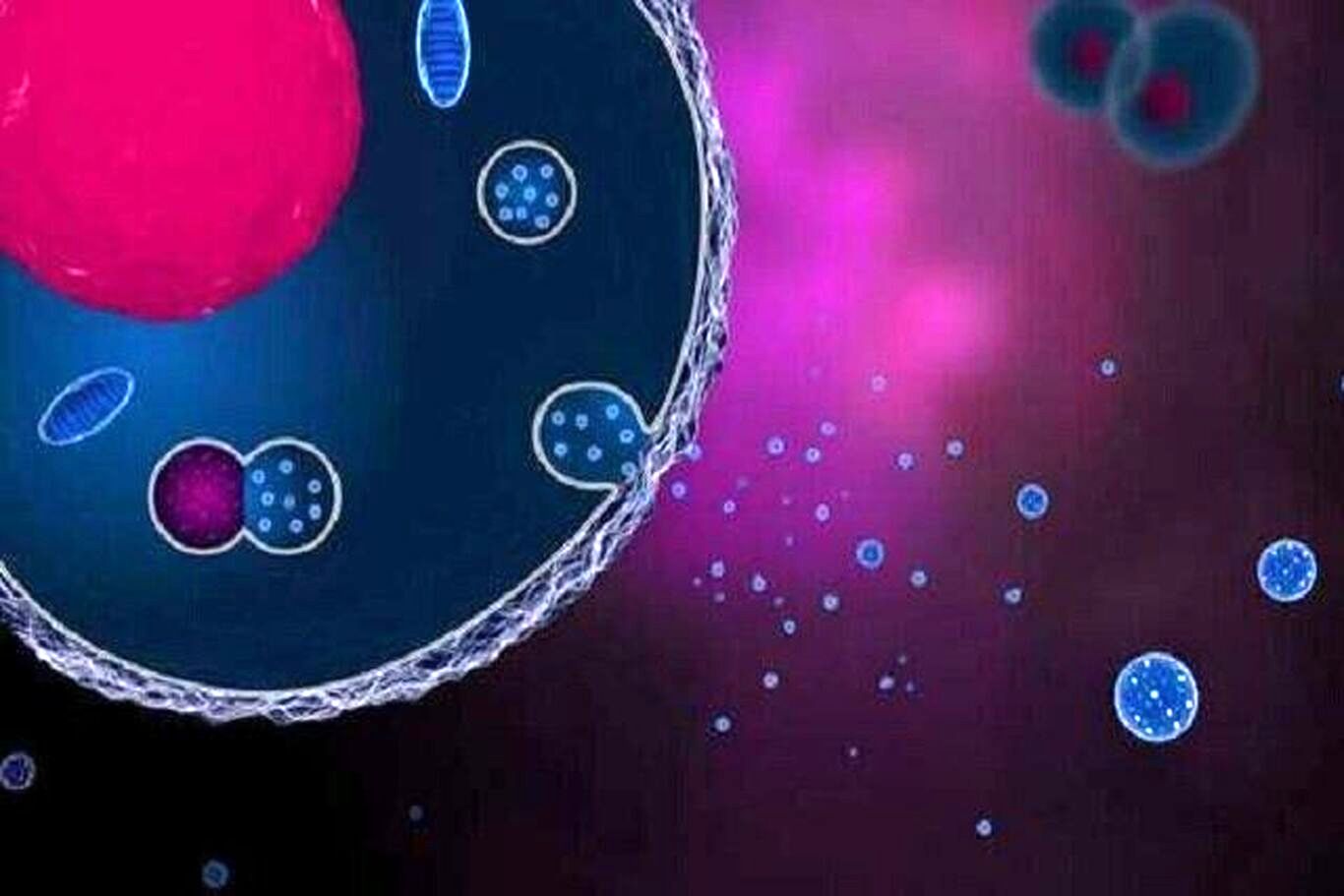 وزیکول‌های خارج سلولی؛ منبعی نامریی از ظرفیت درمانی