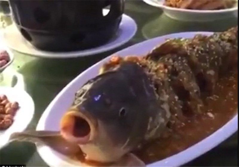 عکس/ زنده‌شدن ماهی در ظرف غذای یک چینی