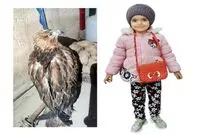 شکار دختر ۳ ساله به جای خرگوش!