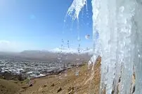 (ویدئو) حرکت دور از عقل دو مرد برای از بین بردن قندیل؛ پت و مت در دنیای واقعی!
