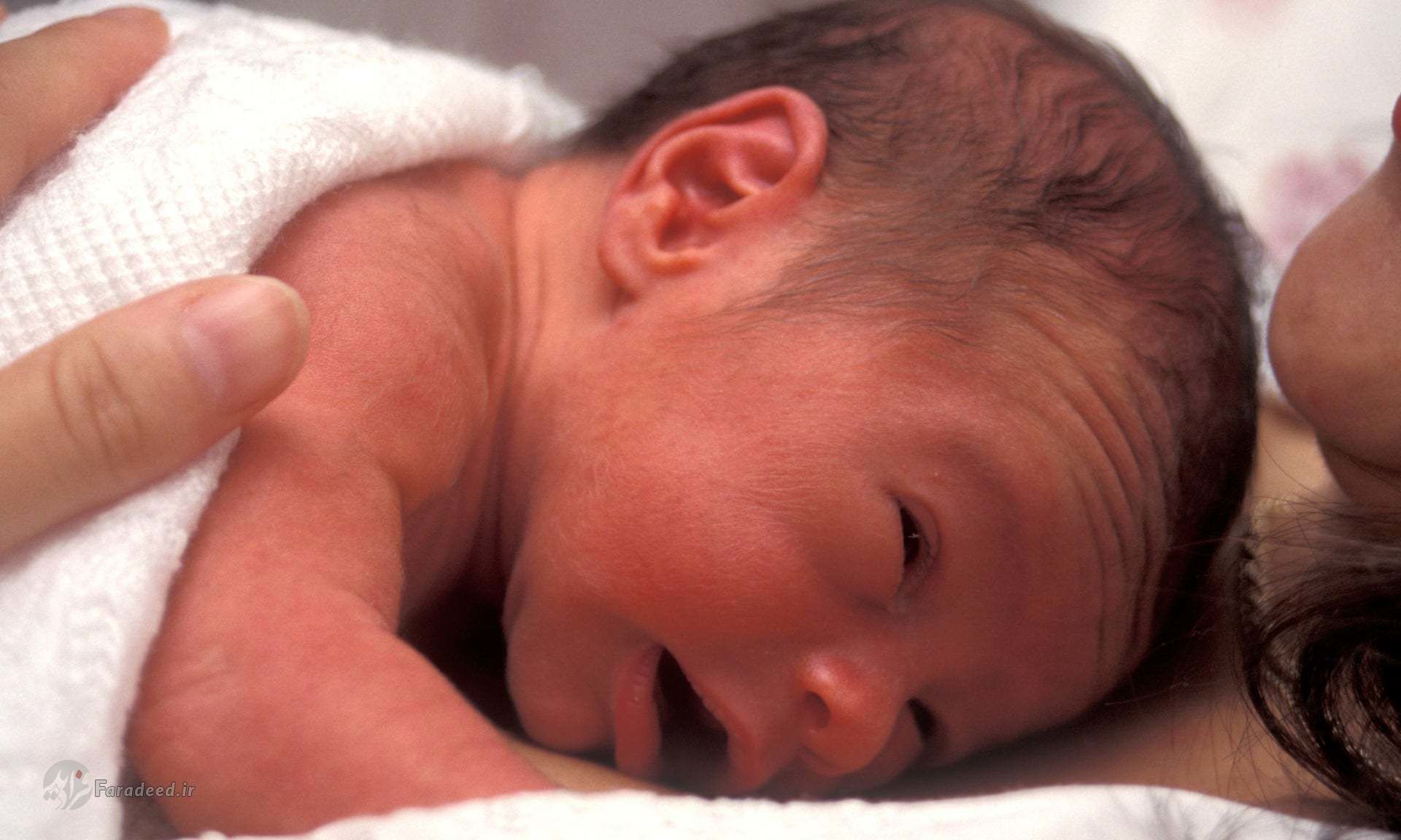 مرگ نیم‌میلیون نوزاد ۱‌ماهه در اثر آلودگی هوا در سال ۲۰۱۹
