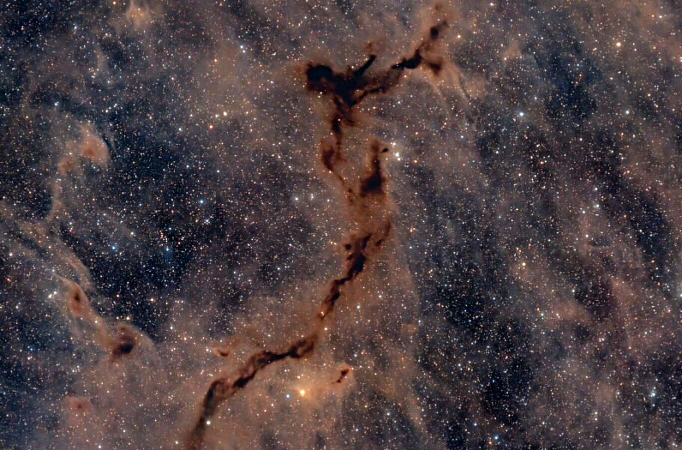 تصویر روز ناسا: سحابی تاریک اسب دریایی