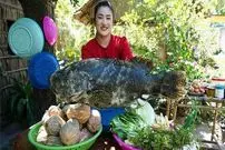 ببینید| غذای روستایی در کامبوج؛ بخارپز کردن یک ماهی بزرگ با سبزیجات و سس سویا