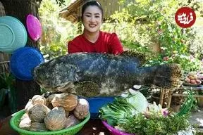 ببینید| غذای روستایی در کامبوج؛ بخارپز کردن یک ماهی بزرگ با سبزیجات و سس سویا