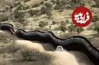 عکس| مرز آمریکا و مکزیک؛ ۱۱۵ سال پیش