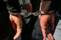 مرد درخت دزد در جنوب تهران دستگیر شد