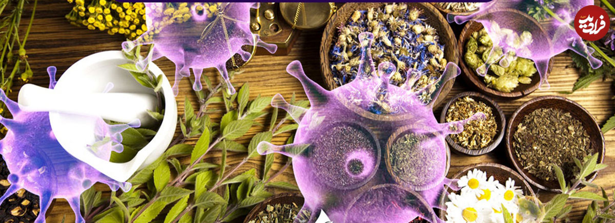 شاهکارهای کرونایی؛ از عنبرنسارا تا روغن بنفشه
