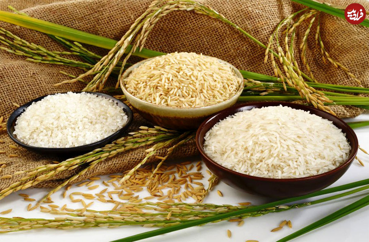 ۶ نکته مهم در مصرف روزانه برنج