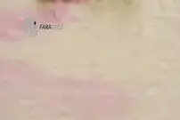 ویدیو/ آهوی نگون‌بخت زنده زنده خورده شد!
