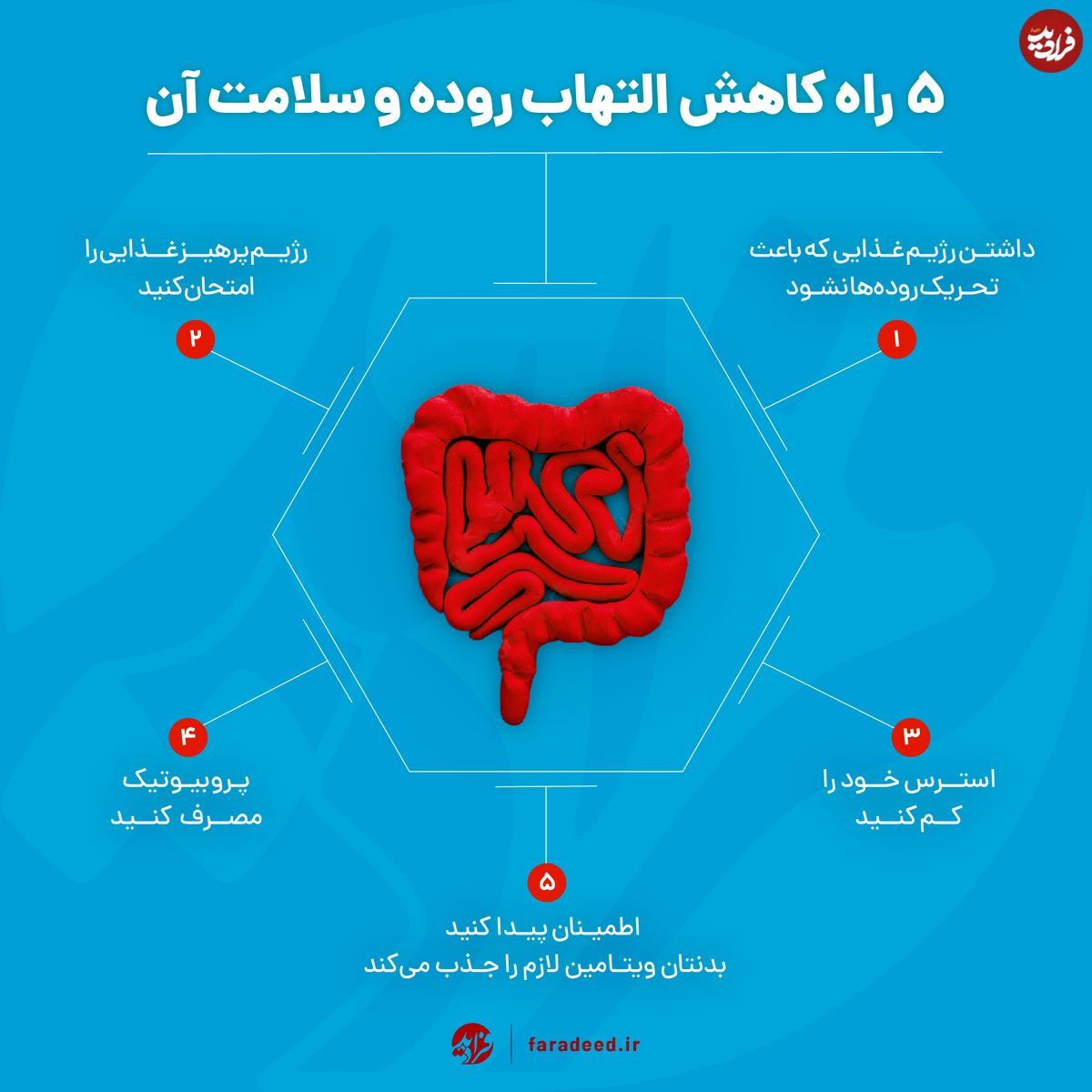اینفوگرافی/ راههای کاهش التهاب روده