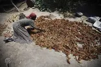 کاملا تصادفی از بحران غذا!
