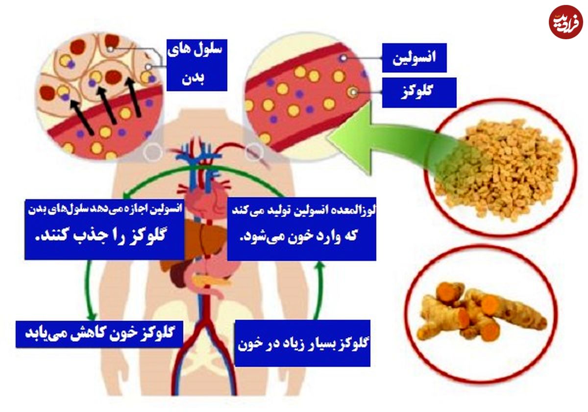 ۷ ادویه برای تنظیم قند خون