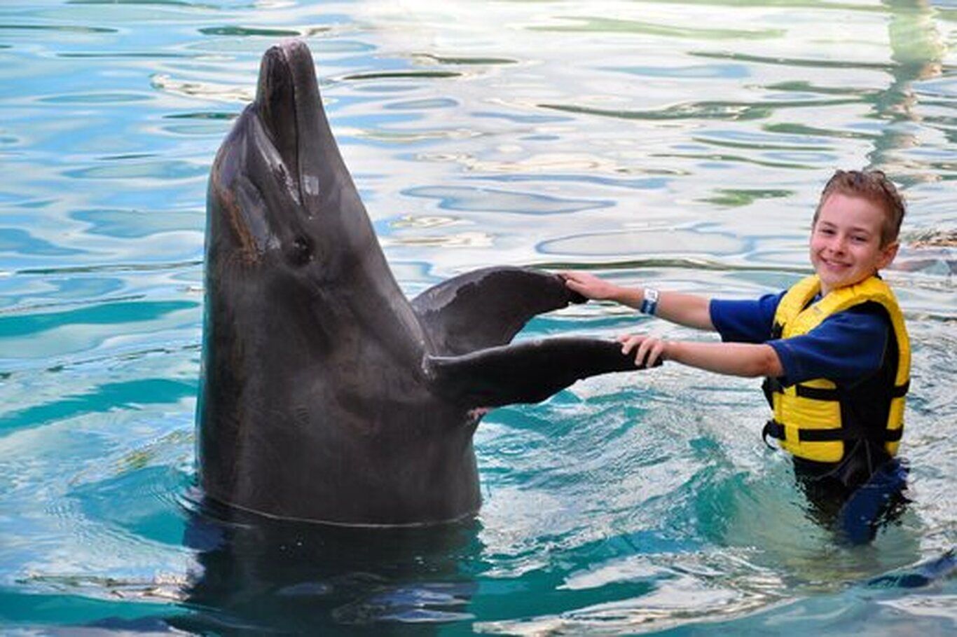 (ویدئو) بازی جذاب و بامزه دلفین باهوش با پسربچه!