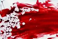 ماجرای بلاگر معروفی که مشتری تبلیغاتی‌اش را کشت