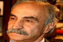 "اکالیپتوس" در شهر چنارها!