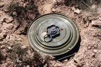 ویدئو / روشی باورنکردنی سرباز روسی برای خنثی کردن مین جنگی!